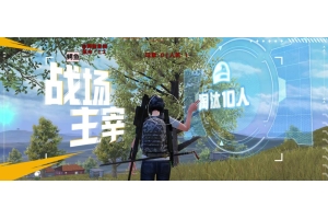 和平精英闪电端囗-和平全火内核助手